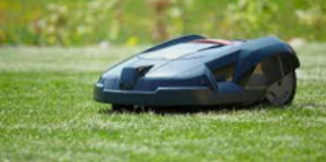 Taglio Prato e Manutenzione