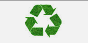 Smaltimento Ramaglie